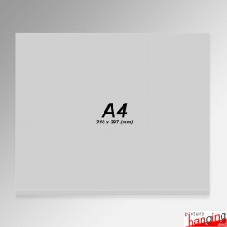 Suspended Ceiling Poster Holder Set (A4 to A1 Sleeve, Grid Clips & "Clear" Cord)