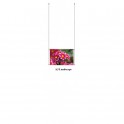 Ceiling Display kit A3