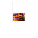 Ceiling Display kit A32