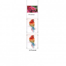 Ceiling Display kit Portrait A3 + Landscape A4