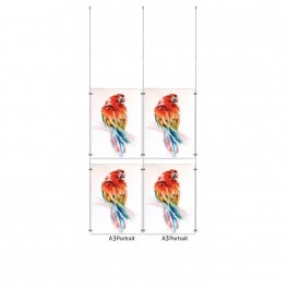 Ceiling Cable Display Kit A3