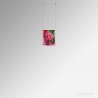 A4 Ready-Made Ceiling Cable Display Kits - Acrylic Pockets & All Fittings for Ceiling-Mounting, Complete System
