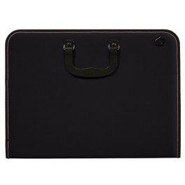 The Premier Artwork Case