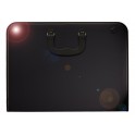 The Premier Artwork Case