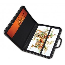 The Quartz Artwork Case